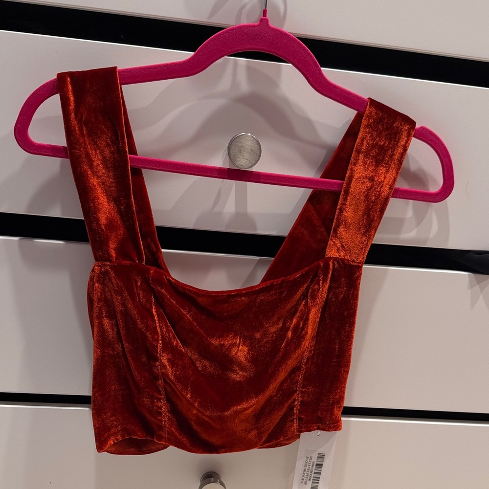 Reformation Velvet Burnt Orange Crop Top